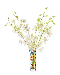 Murano Bud Vase with Orchids