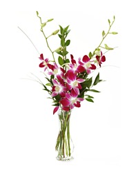 Blooming Orchid Bud Vase