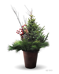 spruch porch pot christmas holiday