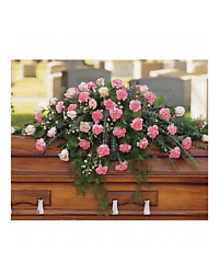 Carnation Rose Casket Sp