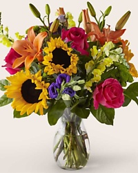roses lilies bright sunflowers snaps colorful