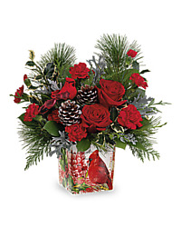 carindal cheer holiday christmas winter bird novelty pine rose carnation