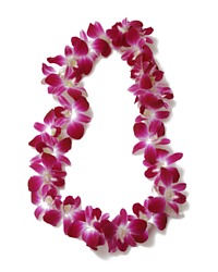 Orchid Lei