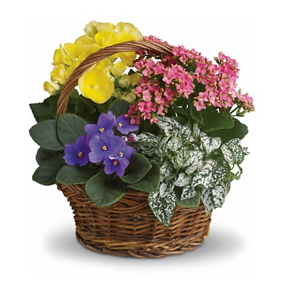 Same Day Flower Delivery - Garden Basket