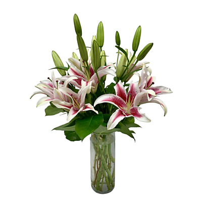 Same Day Flower Delivery - Lilies in a Vase