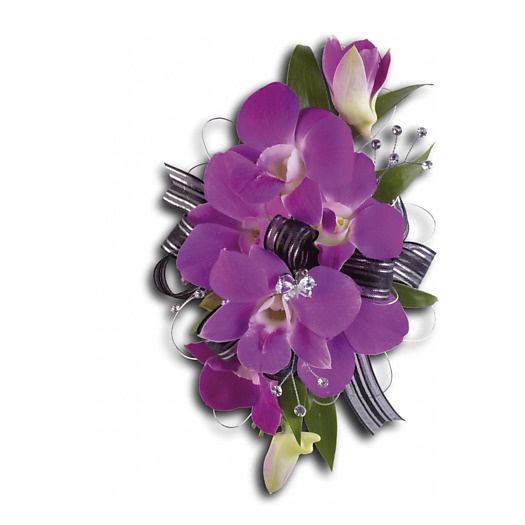 purple dendrobium orchids italian ruscus